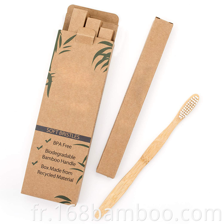 Biodegradable bamboo toothbrush